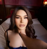 PLAY WITH MY ANACONDA - Transsexual escort in Dubai