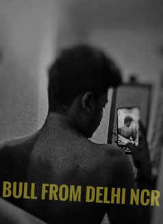 Playboy Sam, Masseur - Male escort in New Delhi Photo 4 of 4