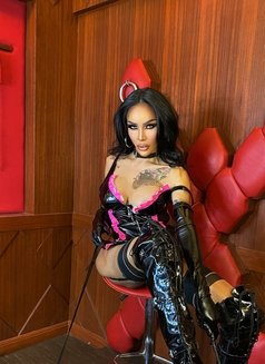 PLAYFUL DOMINANT Alodia in Town - Transsexual escort in Bangkok Photo 4 of 8