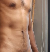 Pleasure bull - Male escort in Colombo