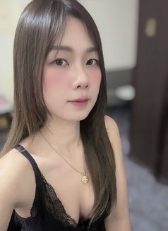 Ploy Bangkok Escort Girl - escort in Bangkok Photo 3 of 14