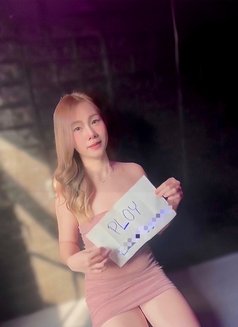 Ploy Bangkok Escort Girl - escort in Bangkok Photo 14 of 14
