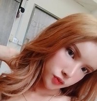 Ploy - Transsexual escort in Kuala Lumpur