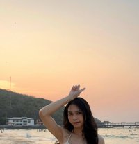 Ploy Ts Bkk - Transsexual adult performer in Bangkok
