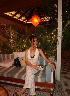 Ployladayboy Th - Acompañantes transexual in Pattaya Photo 4 of 15