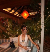 Ployli big top - Transsexual escort in Riyadh