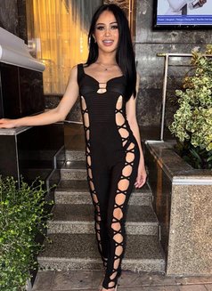 Ployladayboy Th - Acompañantes transexual in Pattaya Photo 13 of 15