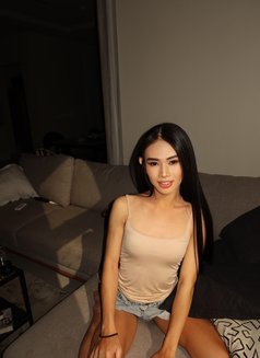 Ployli big top with massage ♂️ - Transsexual escort in Riyadh Photo 7 of 12