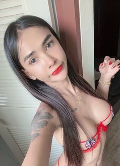 Ployly Petty Sweet Girl - escort in Pattaya Photo 6 of 6