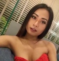 Ployly - Transsexual escort in Pattaya