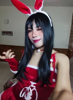 Plumemoo Al Ghubrah - Transsexual escort in Muscat Photo 7 of 8