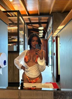 StallionCock (Just Arrived) - Transsexual escort in Bangkok Photo 18 of 20