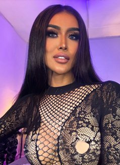 PocaTheGreat!(Just Arrived) - Acompañantes transexual in Ho Chi Minh City Photo 22 of 27