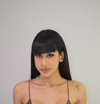 Pocky Bkk 7.5 Inchbeautiful full cum - Transsexual escort in Bangkok
