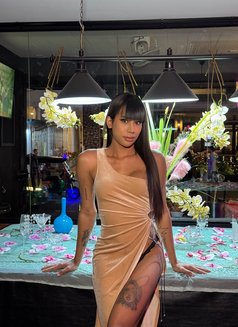 Pocky Bkk 7.5 Inchbeautiful full cum - Transsexual escort in Bangkok Photo 8 of 17