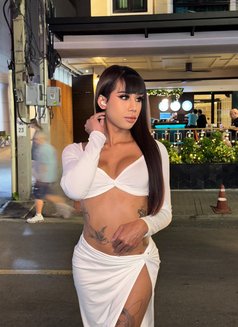 Pocky Bkk 7.5 Inchbeautiful full cum - Transsexual escort in Bangkok Photo 16 of 17