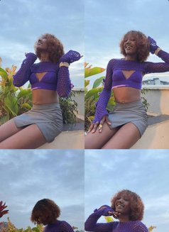 Poison Ivy🧿 - Acompañantes transexual in Nairobi Photo 16 of 17