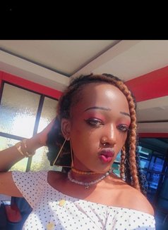 Poison Ivy🧿 - Acompañantes transexual in Nairobi Photo 17 of 17