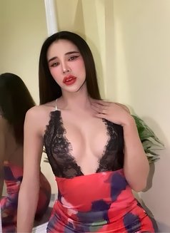POKKY (VIP) Ladyboy Thailand - Transsexual escort in Muscat Photo 12 of 12