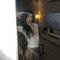 Pokpak 🇹🇭‍‍ both bigdick - Transsexual escort in Riyadh