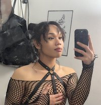 🇵🇭 Polene Arcee v2.0-Natural Queen - Acompañantes transexual in Dubai Photo 1 of 11