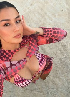 Polina - escort in Hamburg Photo 4 of 4