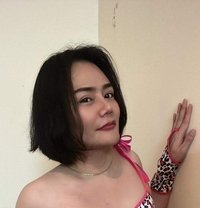 Polla - Transsexual escort in Al Manama