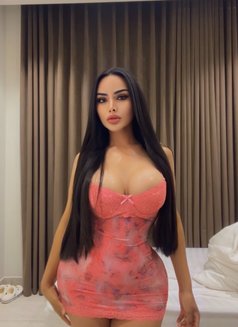 Polla - Transsexual escort in Riyadh Photo 6 of 7