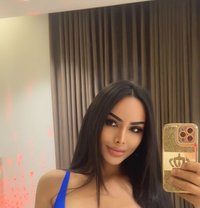 Polla - Transsexual escort in Riyadh