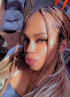 Polony - Transsexual escort in Nairobi Photo 5 of 6