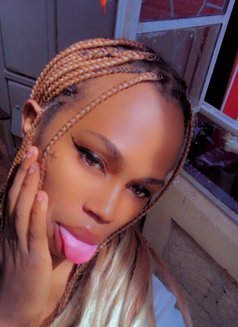Polony - Transsexual escort in Nairobi Photo 6 of 6