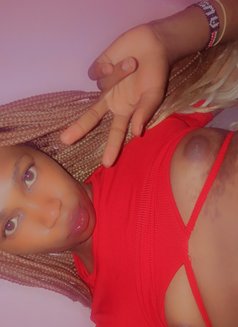 Polony - Transsexual escort in Nairobi Photo 1 of 4
