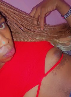 Polony - Acompañantes transexual in Nairobi Photo 3 of 6