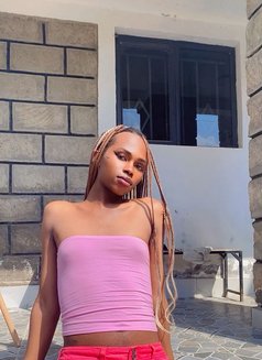Polony - Transsexual escort in Nairobi Photo 3 of 11
