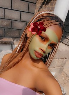 Polony - Transsexual escort in Nairobi Photo 6 of 11