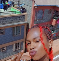 Polony - Transsexual escort in Nairobi