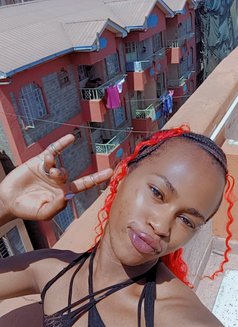 Polony - Acompañantes transexual in Nairobi Photo 3 of 8