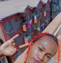 Polony - Transsexual escort in Nairobi
