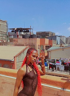 Polony - Acompañantes transexual in Nairobi Photo 6 of 8