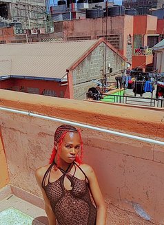 Polony - Acompañantes transexual in Nairobi Photo 7 of 8