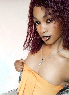 Polony - Transsexual escort in Nairobi Photo 1 of 9