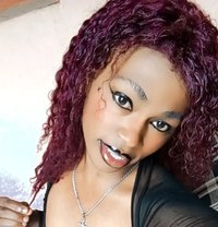 Polony - Transsexual escort in Nairobi