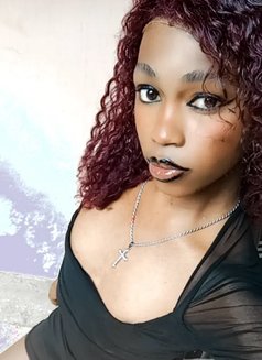 Polony - Transsexual escort in Nairobi Photo 4 of 9