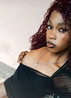 Polony - Transsexual escort in Nairobi Photo 5 of 9
