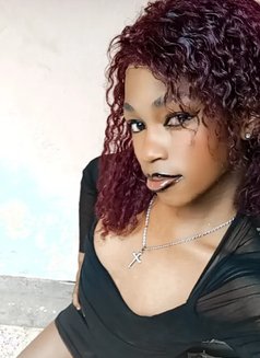 Polony - Transsexual escort in Nairobi Photo 6 of 9