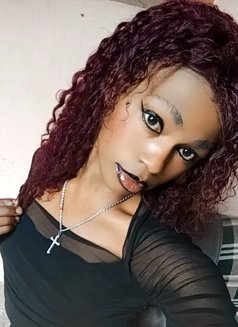 Polony - Transsexual escort in Nairobi Photo 7 of 9