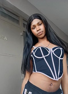 Polony - Transsexual escort in Nairobi Photo 9 of 9