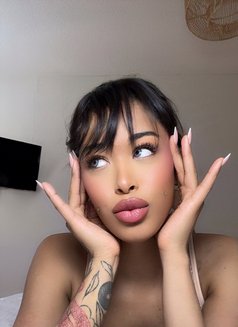 Polynesian Barbie - Transsexual escort in Dubai Photo 11 of 12
