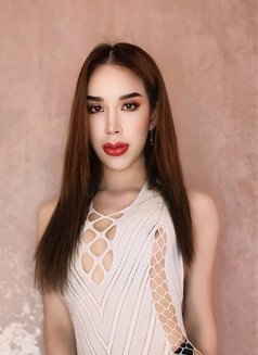 Pony ladyboy new in Riyadh 🇹🇭 - Transsexual escort in Riyadh Photo 6 of 9