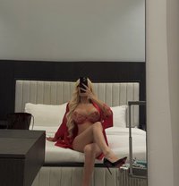 Ponybuny Top pornstar 🇹🇭 - Transsexual escort in Riyadh